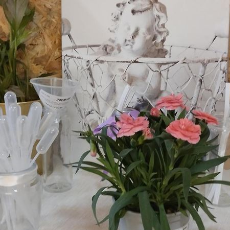 Le Laboratoire Shabby Chic De La Parfumerie Du Manoir Chavagne Kültér fotó